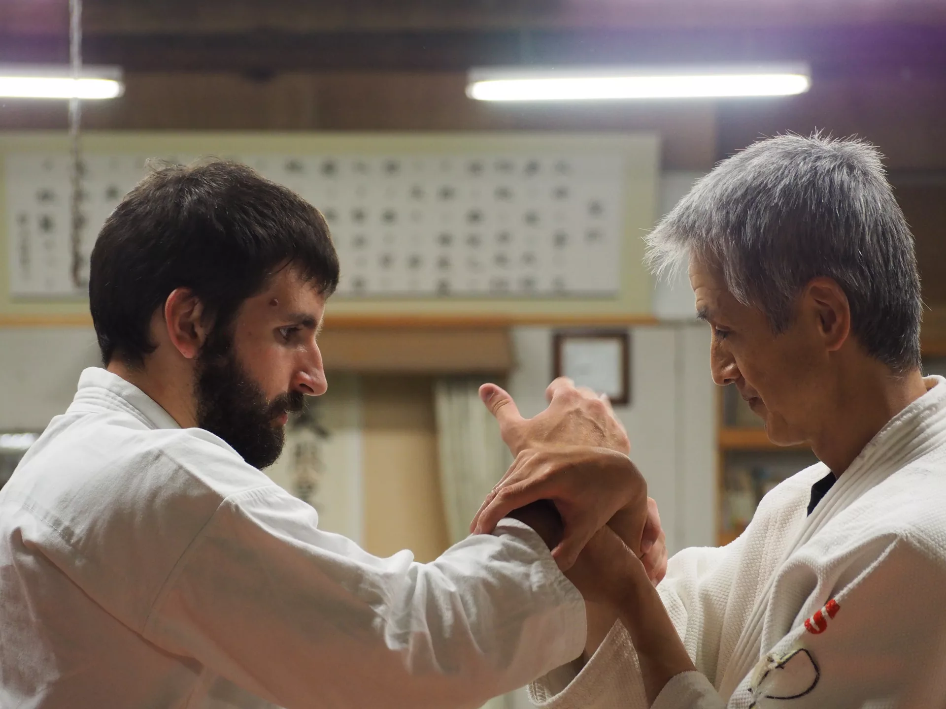 Technique de luxation, Shizuoka 2018